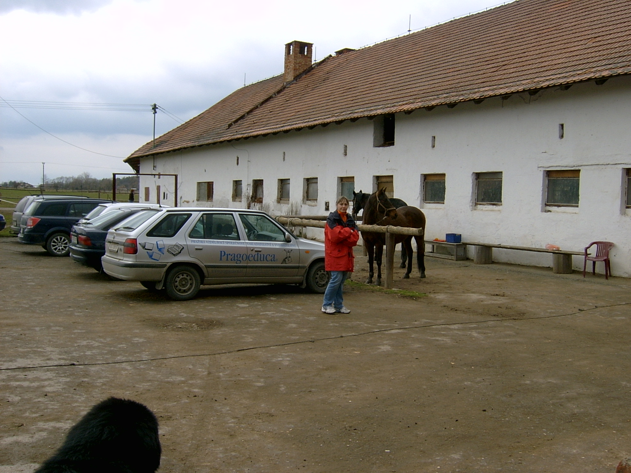 koně Ohrobec (5)